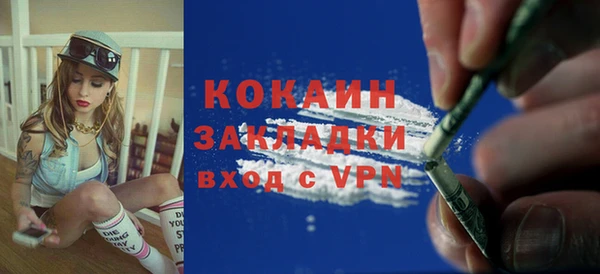 спайс Дмитриев