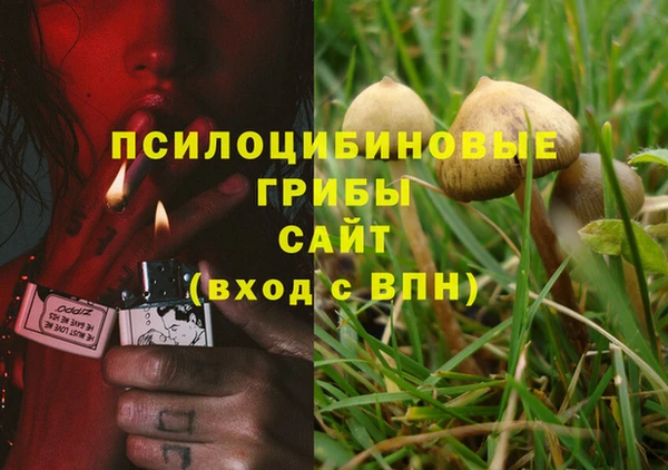 гашик Дмитровск