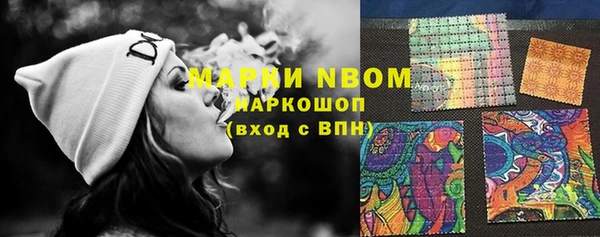 амф Гусиноозёрск