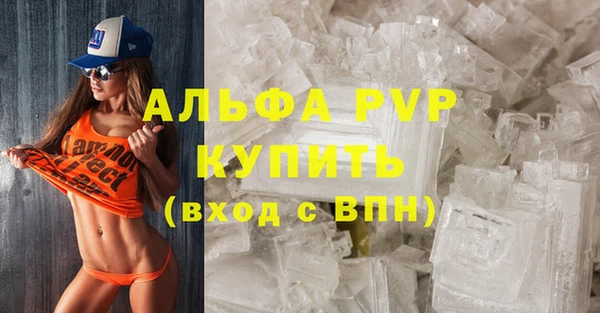 гашик Дмитровск