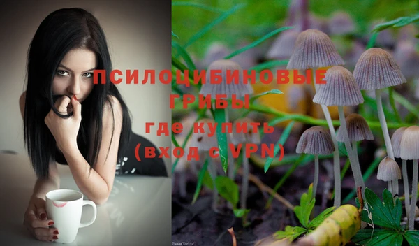 спайс Дмитриев
