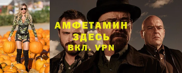амф Гусиноозёрск